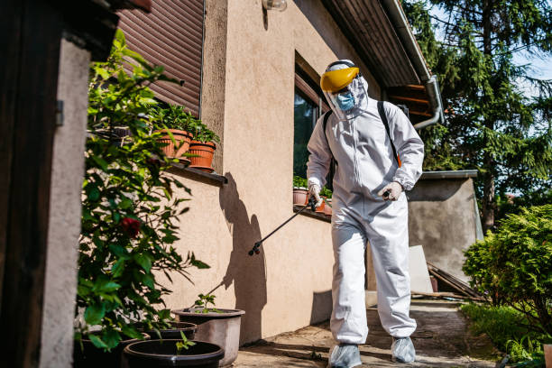 Wasp Removal Services in Elkhart, TX